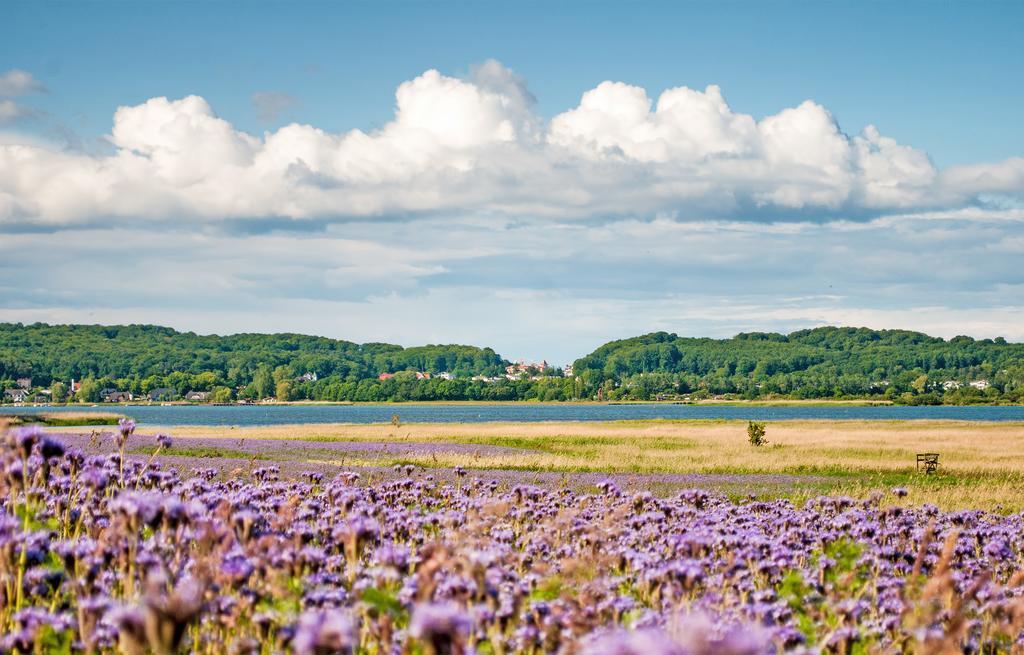 Dat Witte Hus Moritzdorf Ruegen Ferienwohnungen - Ruhige Lage エクステリア 写真