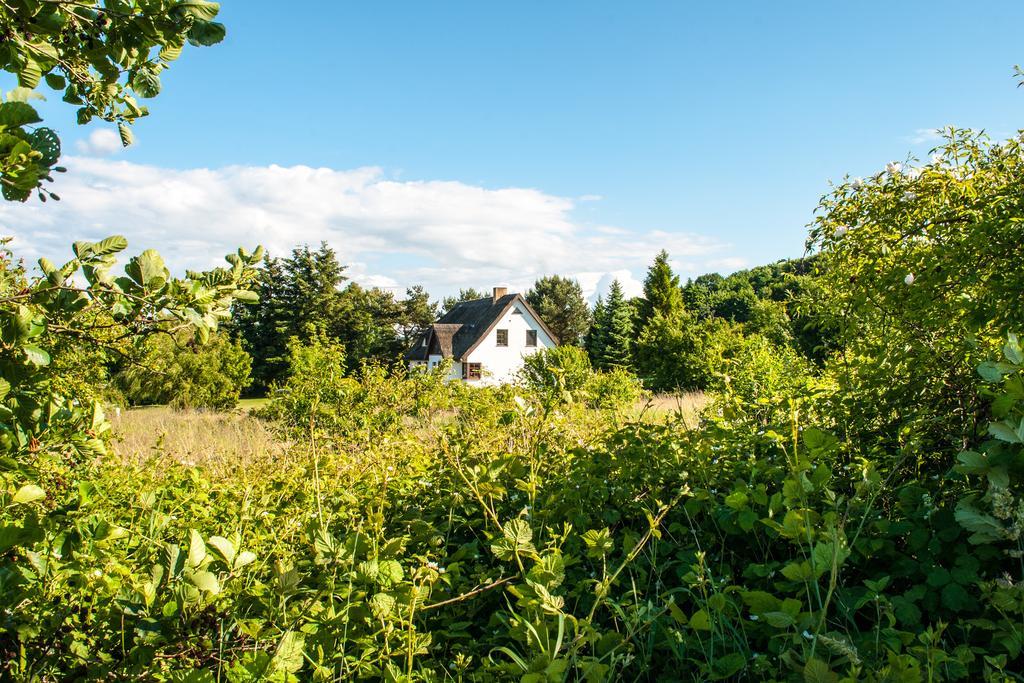 Dat Witte Hus Moritzdorf Ruegen Ferienwohnungen - Ruhige Lage エクステリア 写真